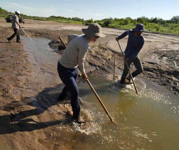 Ecologistas demandan a agencias por peces en río Bravo