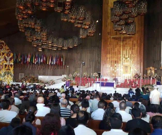 Brota fervor Guadalupano Brota fervor Guadalupano