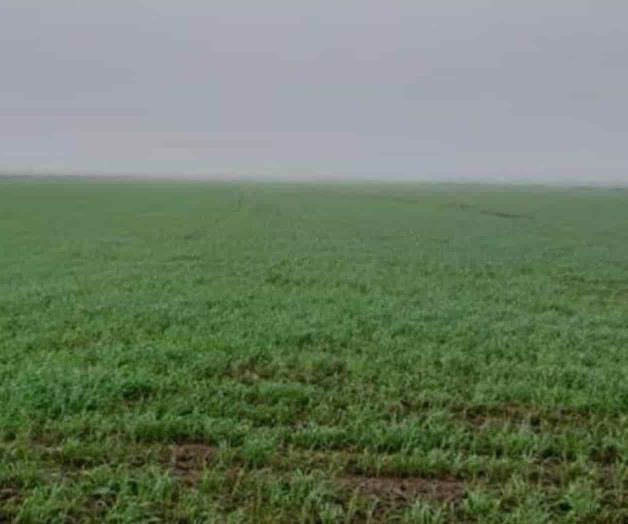 Unos alcanzarán más y otros menos, en tema de agua para riego