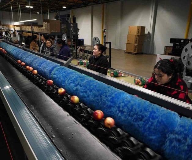 La ciencia al rescate de desperdicio de alimentos