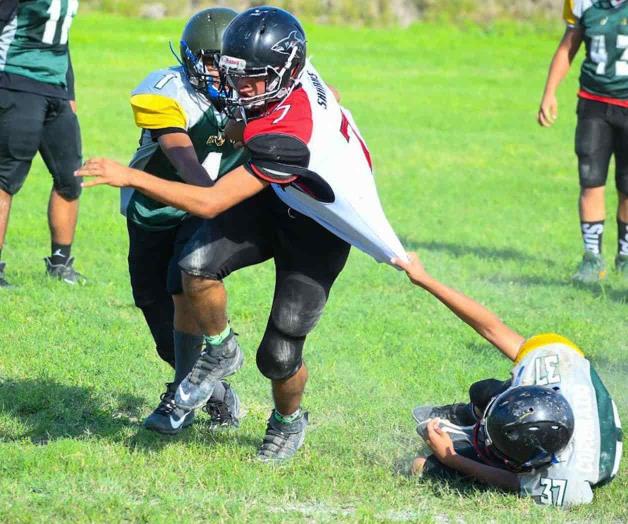 ¡‘Devoran’ a Rhinos! ¡‘Devoran’ a Rhinos!