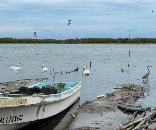 Encuentran muerto a pescador extraviado