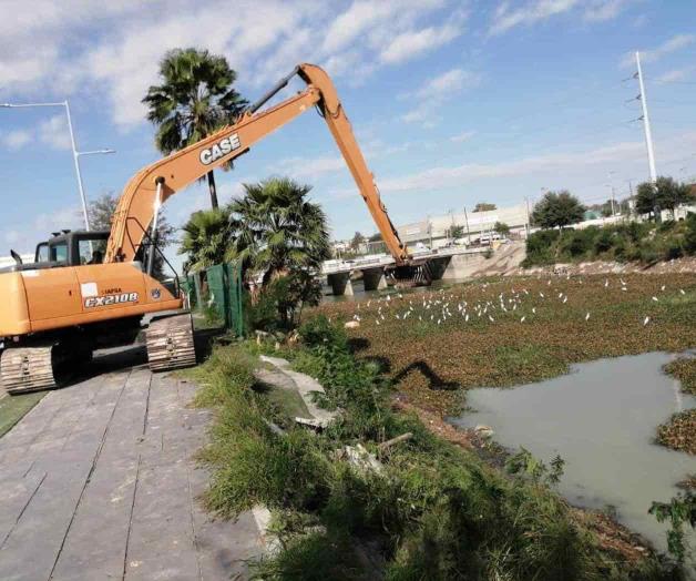 Liberará CEAT canal Anzaldúas de lirio acuático Liberará CEAT canal Anzaldúas de lirio acuático