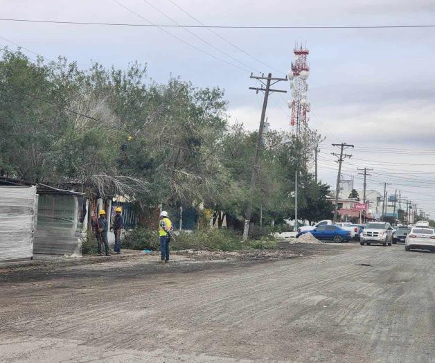 Reciben mantenimiento las líneas eléctricas