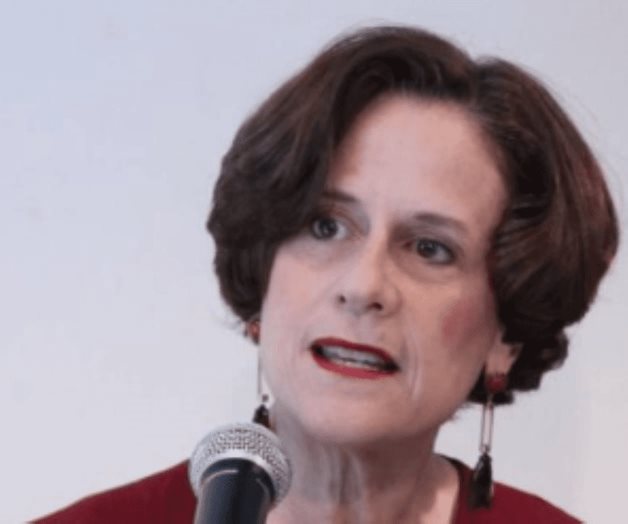 Denise Dresser llama a parar las agresiones contra periodistas Denise Dresser llama a parar las agresiones contra periodistas