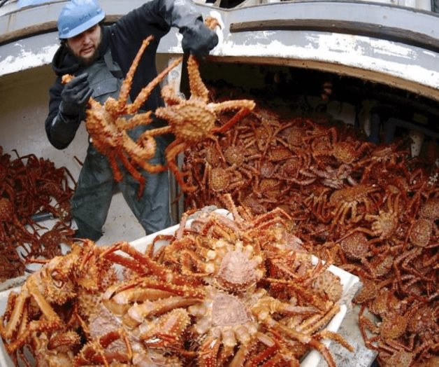 Cangrejeros y pescadores buscan ayuda de EE.UU. tras declaración de desastre Cangrejeros y pescadores buscan ayuda de EE.UU. tras declaración de desastre