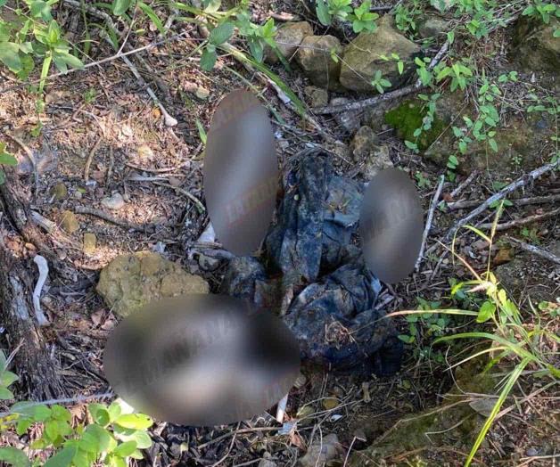 Hallan osamenta humana entre maleza de predio
