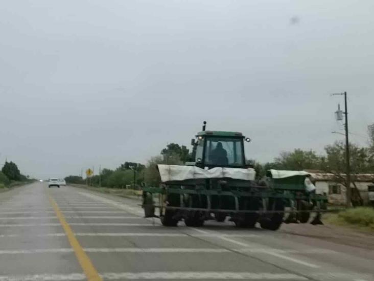 Arranca siembra en San Fernando Arranca siembra en San Fernando
