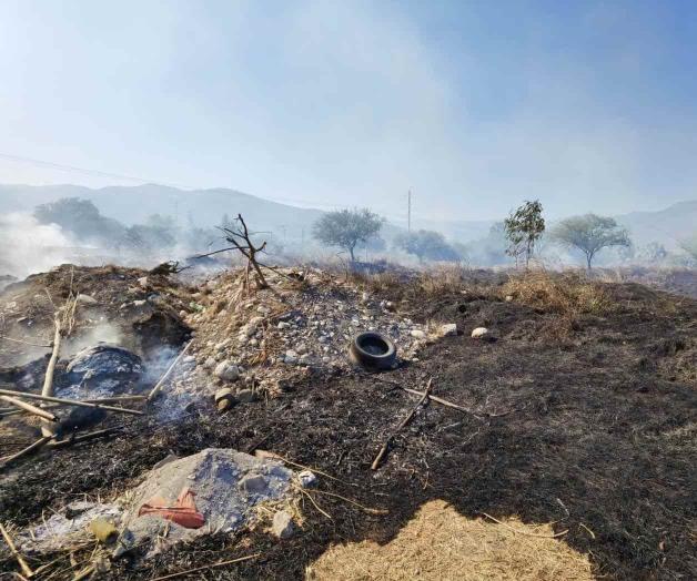 Pastizales en riesgo