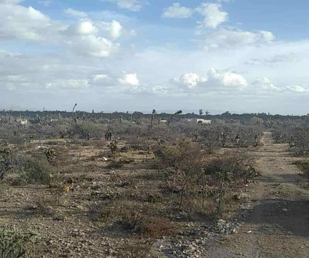 Cae aeronave en SLP; habrían muerto 2 personas Cae aeronave en SLP; habrían muerto 2 personas