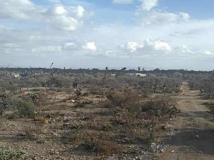 Cae aeronave en SLP; habrían muerto 2 personas Cae aeronave en SLP; habrían muerto 2 personas