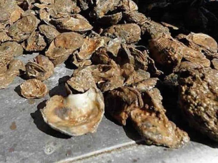 Reabren pesca en Galveston Reabren pesca en Galveston