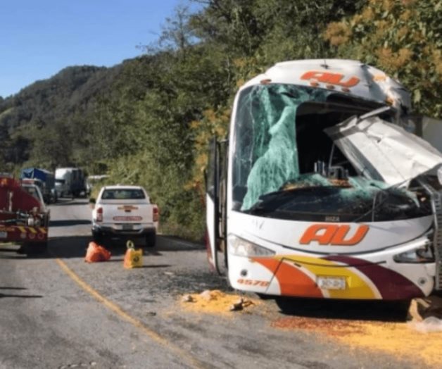 Ataques armados en bares dejan 8 muertos Ataques armados en bares dejan 8 muertos