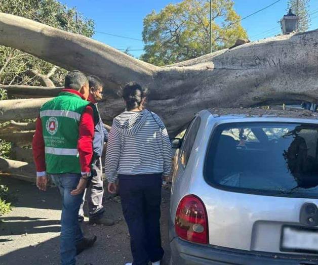 Ráfagas de viento en la capital de SLP dejan múltiples daños material Ráfagas de viento en la capital de SLP dejan múltiples daños material