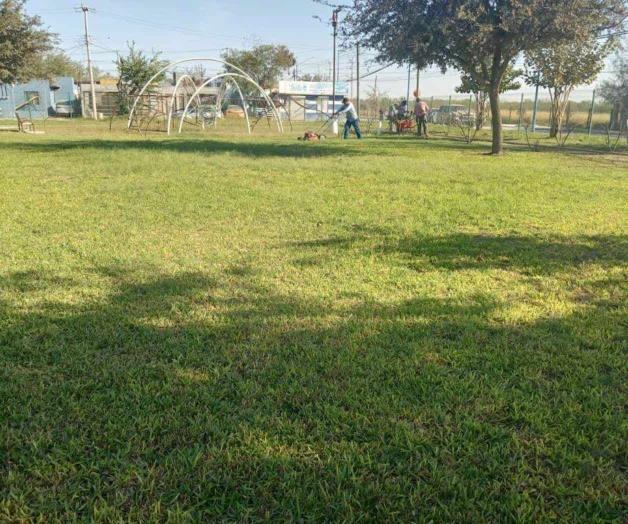 Mantienen Tamules en Río Bravo en óptimas condiciones Mantienen Tamules en Río Bravo en óptimas condiciones