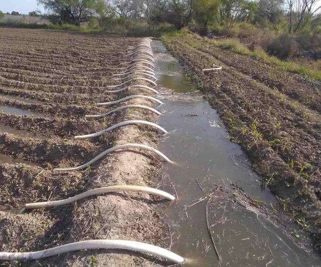 Inicia lento el riego de parcelas Inicia lento el riego de parcelas