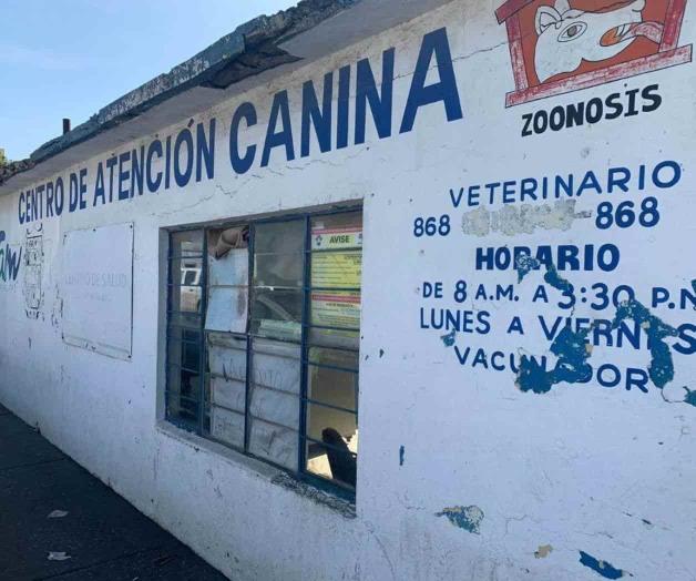 Centro antirrábico a punto de derrumbarse