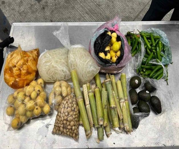 Decomisan vegetales y animales prohibidos