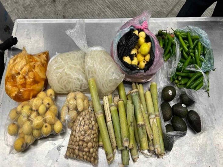 Decomisan vegetales y animales prohibidos Decomisan vegetales y animales prohibidos