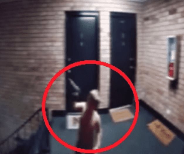 Captan a bebé con una pistola en EU