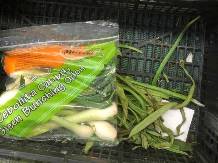 No hay desabasto de verduras en Reynosa No hay desabasto de verduras en Reynosa