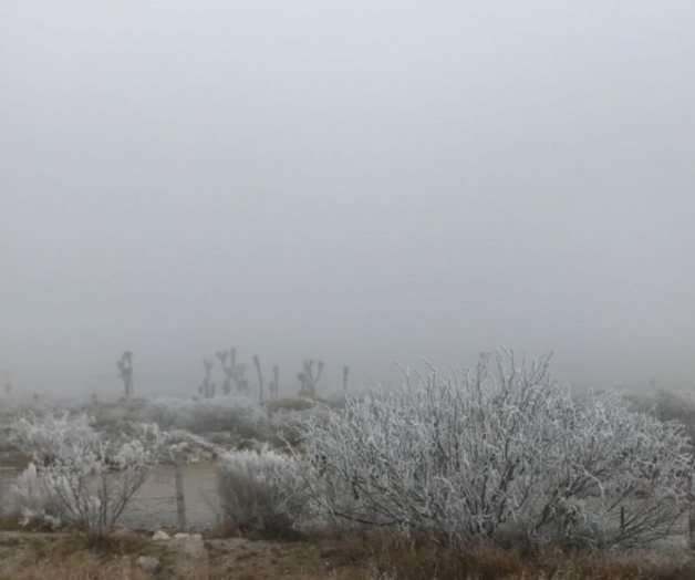 Registran temperaturas de hasta menos 6 grados sierra alta de Sonora