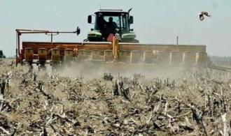 Próspera la exportación agropecuaria Próspera la exportación agropecuaria