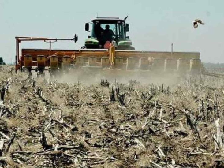 Próspera la exportación agropecuaria Próspera la exportación agropecuaria
