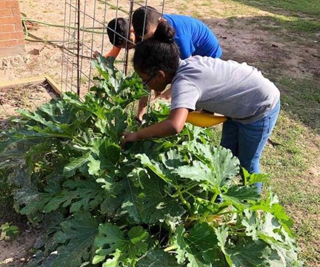 Aprenden alumnos sobre la agricultura Aprenden alumnos sobre la agricultura