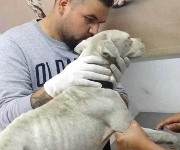 Arrastra y tira a perrita con cáncer en Escobedo
