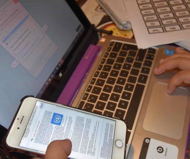 Comercios rezagados; Ventas en línea no son lo suyo