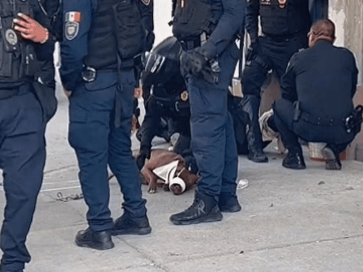 Detienen a perro por morder a policía en la Cuauhtémoc Detienen a perro por morder a policía en la Cuauhtémoc