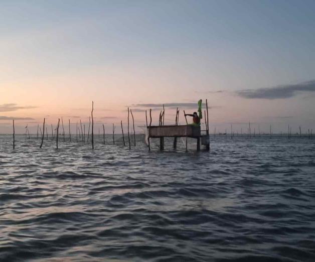 Atraviesa sector pesquero difícil situación