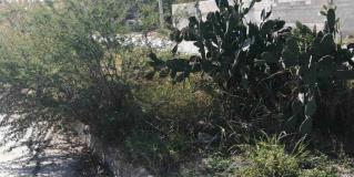 Convierten camellón en tiradero de llantas y basura