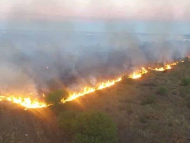 En México hay 122 zonas forestales en estado crítico: Profepa En México hay 122 zonas forestales en estado crítico: Profepa