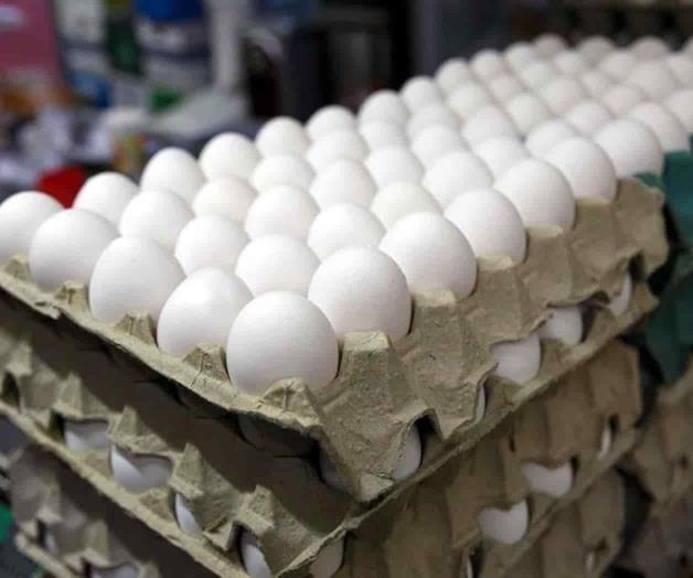 Aseguran que hay suficiente huevo  para atender el consumo