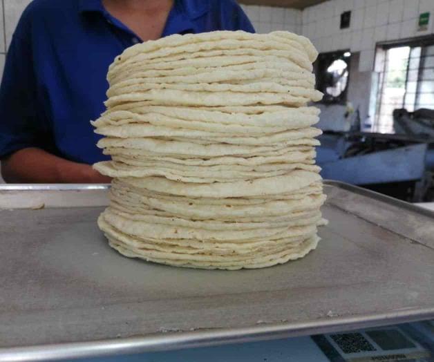 Inminente alza al precio de tortilla; anticipan llegaría a 30 pesos el kilo