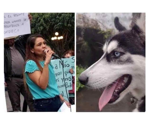 Mío, el husky que murió por defender a su dueña