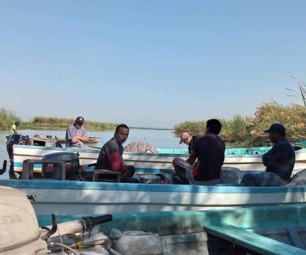 Cae la pesca en zona sur