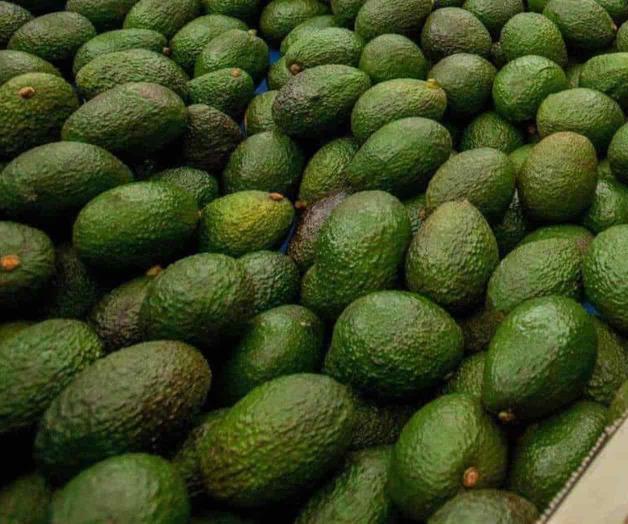 Crece 7.5% valor de exportaciones agro