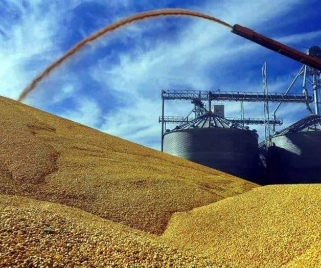 Urgen en Capitolio activar mecanismo contra México por maíz