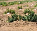 Realiza USDA censo agrícola y ganadero