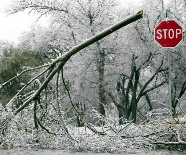 Persiste tormenta invernal al sur de EU