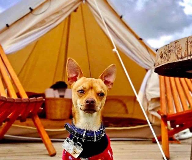 De viaje con tu mejor amigo