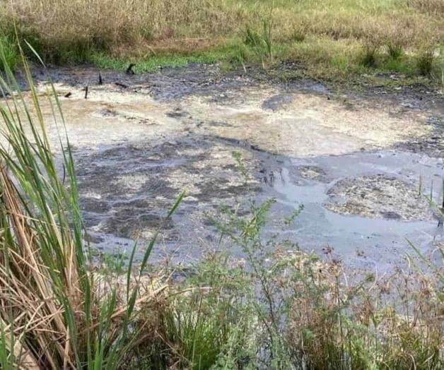 Ganaderos también son afectados por derrame de hidrocarburos