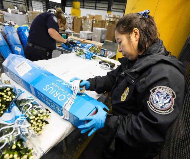 Intensifican Aduana revisiones de flores Intensifican Aduana revisiones de flores