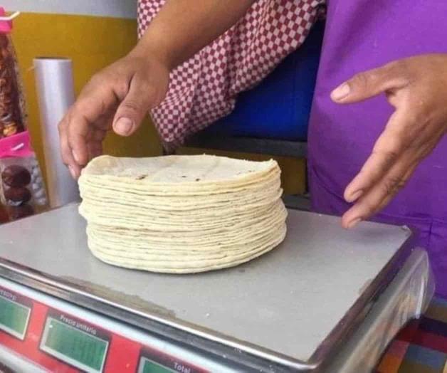 Sin freno incremento a harina de maíz