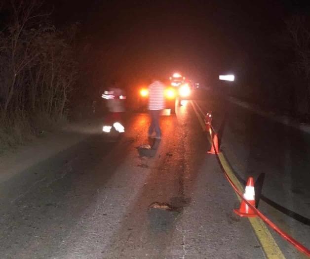 Tráiler embiste a camioneta; muere conductor al instante Tráiler embiste a camioneta; muere conductor al instante