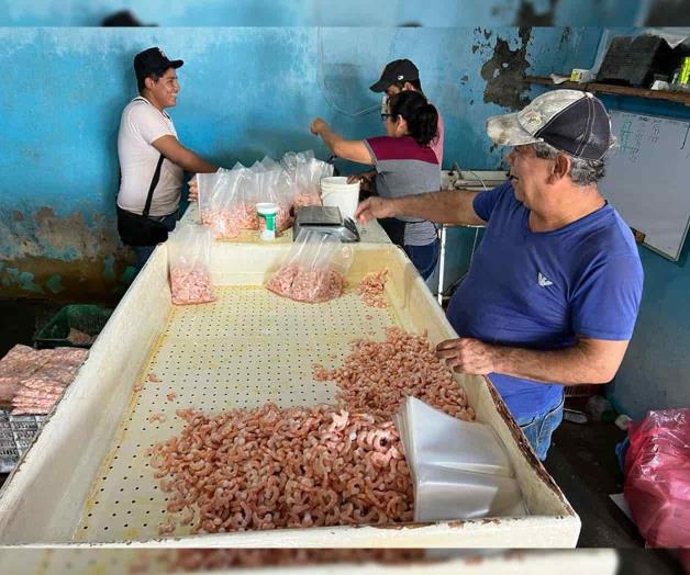 Paralizada actividad pesquera en San Fernando