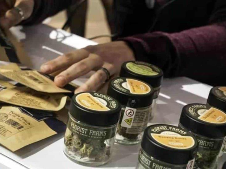 Alertan por falta de acceso a fármacos con cannabis Alertan por falta de acceso a fármacos con cannabis